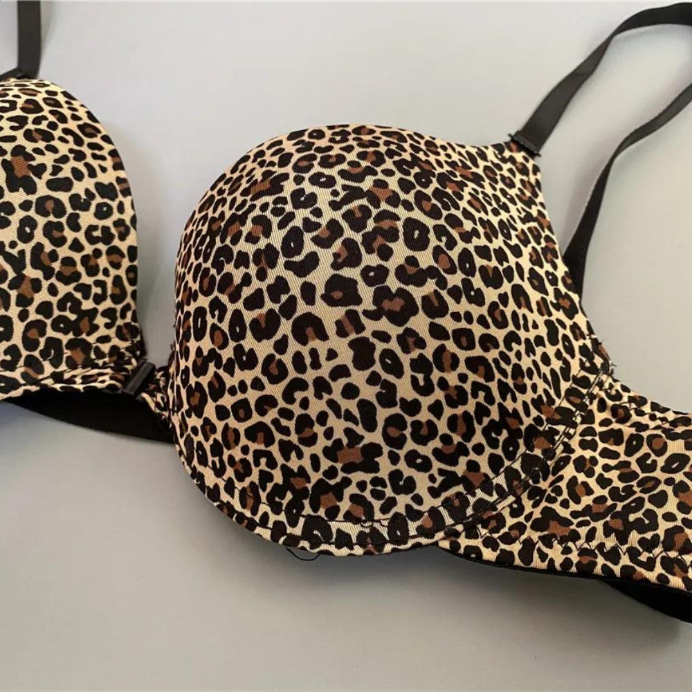 Leopard bh